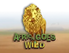 Toto